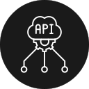 api icon