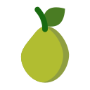 guayaba icon