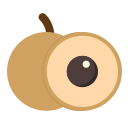 longan icon