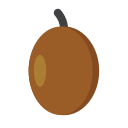 Sapodilla icon