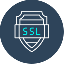 ssl icon