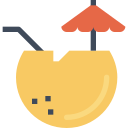 Cocktail icon