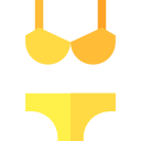 bikini icon