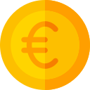 Euro icon