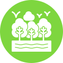 naturaleza icon