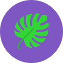 monstera icon