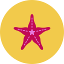 estrella de mar 