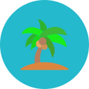 Árbol de coco icon