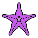 estrella de mar 