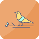 pájaro icon