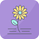 flores icon