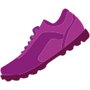 zapato icon