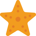 estrella de mar 