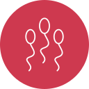 Sperm 