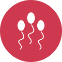Sperm 