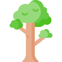 Árbol icon