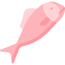 pescado icon