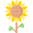 girasol icon