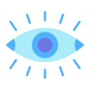 ojo icon