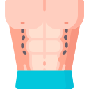 abdominal icon