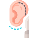 Otoplastia icon