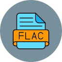 flac icon