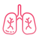 pulmonar icon