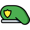 boina icon