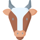 vaca 