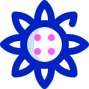 girasol icon