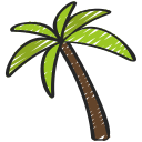 palmera icon