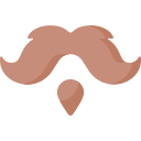 bigote icon