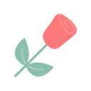 rosa icon