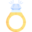 anillo icon