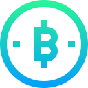 bitcoin icon