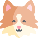 gato del bosque noruego icon