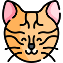 toyger icon