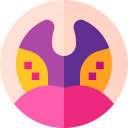 cáncer orofaríngeo icon