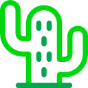 cactus icon