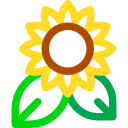 girasol icon