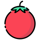 tomate icon