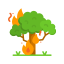 incendio forestal icon