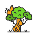 incêndios 