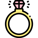 anillo icon