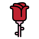 rosa icon