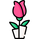 rosa icon