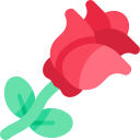 rosa icon