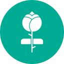 rosa icon