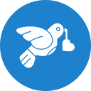 pájaro del amor icon