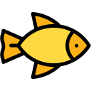 Fish Generic Outline Color icon